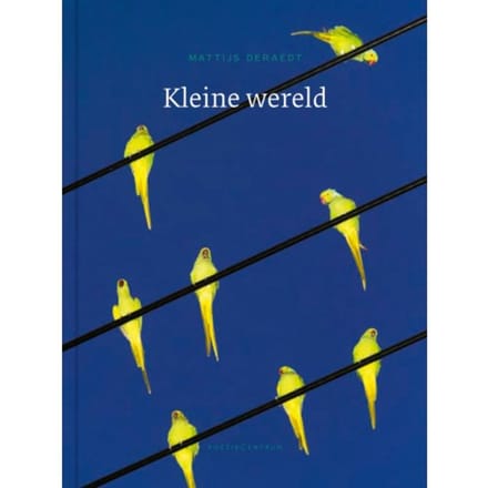 Kleine Wereld - Mattijs Deraedt