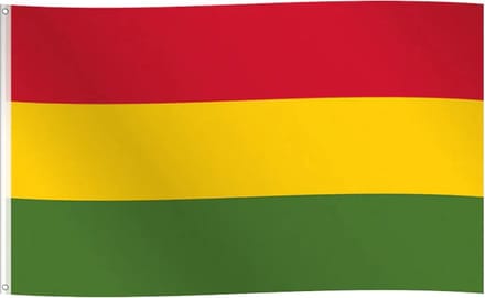 Vlag Carnaval 150x90cm rood/geel/groen