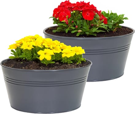 Mega Collections plantenpot/bloempot Bob - 2x - zink - antraciet - D25 X H12 cm