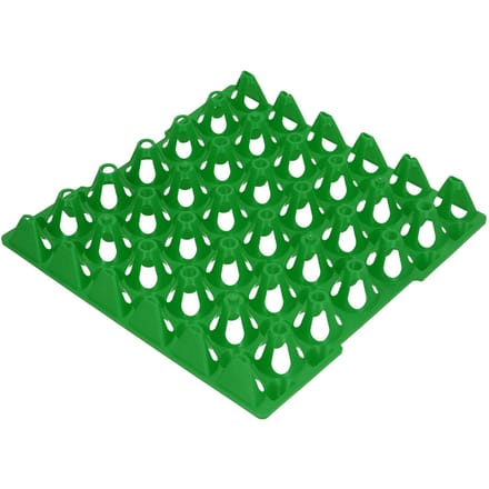5 STUKS Plastic Eierdozen 30 Vakken Eierkratten Houder Tray voor Opslag Transport Thuis Boerderijbenodigdheden groen