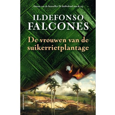 De Vrouwen Van De Suikerrietplantage - Ildefonso Falcones