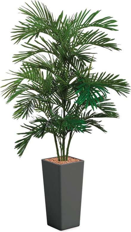 HTT - Kunstplant Areca palm in Clou vierkant antraciet H195 cm