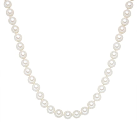 Rafaela Donata Ketting
