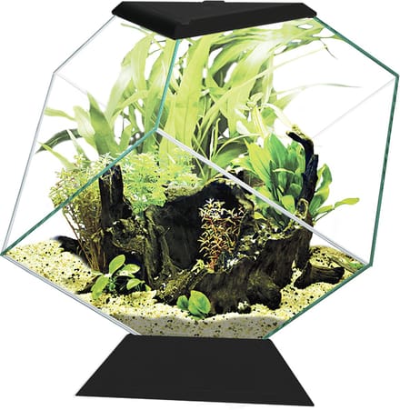 Ciano - Aquarium - Vissen - Ciano Aquarium Nexus 14c 35,4x41,8x36,8cm Zwart - 1st