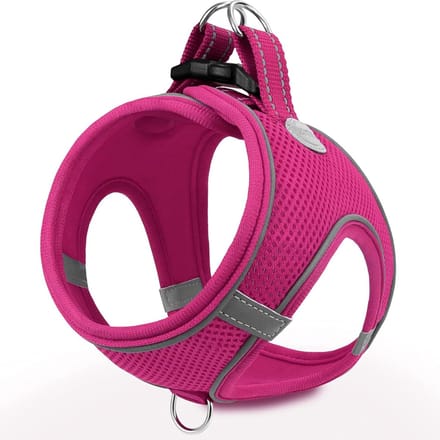 CLVP® Kattenharnas - Kattenrugzak - Roze