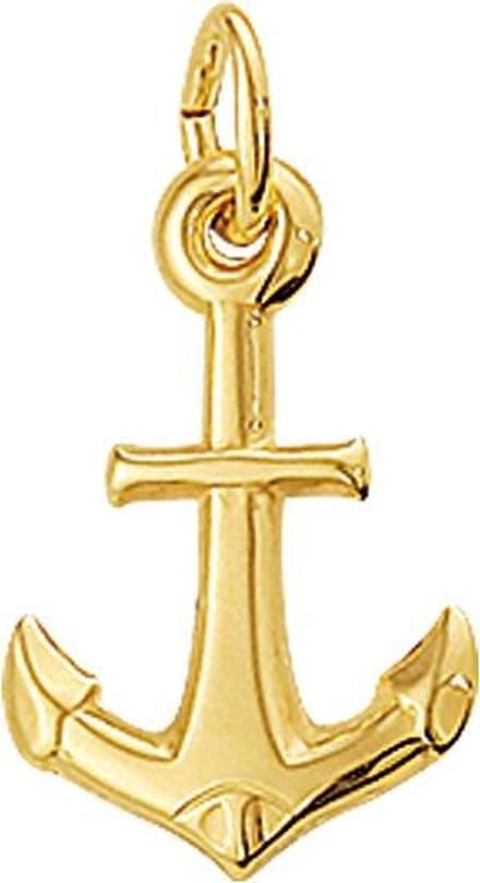 The Jewelry Collection For Men Hanger Anker - Goud