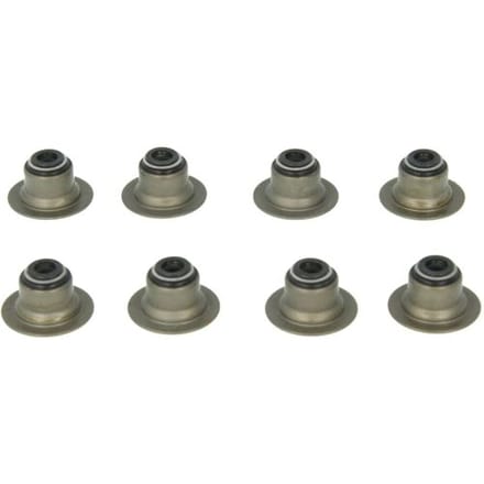 Klep afdichtingsset-PAYEN HR656