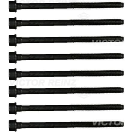 Cilinderkopbout set VICTOR REINZ 14-21800-01