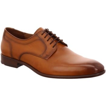 Nette Schoenen Lloyd -