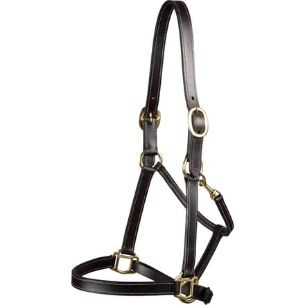 Halster voor paarden Premier Equine