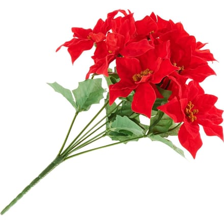 Kerstster tak met 9 bloemen