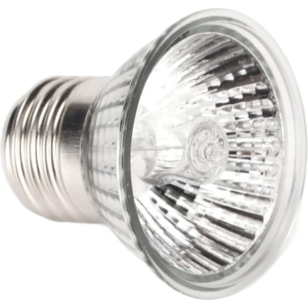 E27 Reptielenlamp Warme Habitat Zonneplaats Warmtelamp Reptielen Warmtelamp voor Slang Hagedis Habitat white