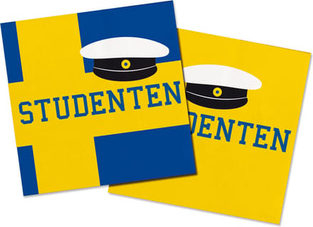 Studentenfeest Servetten 33x33cm - 20 stuks