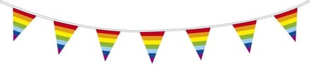 Vlaggenlijn Regenboog 10 meter