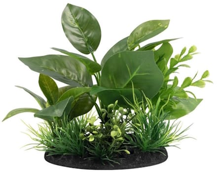 SuperFish Deco Plant S NR. 5
