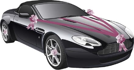 Chaks Trouwauto decoratie lint - fuchsia roze - just married - bruiloft benodigdheden