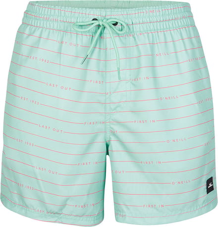 O´neill Cali First 15´´ Zwemshorts Blauw XL Man