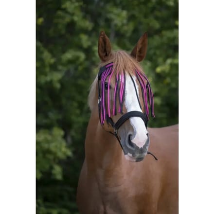 Frontaal voor paard Norton Chasse-mouches