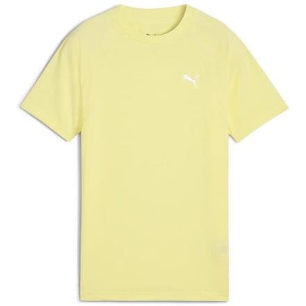 T-shirt Puma Evostripe