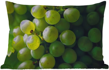 Buitenkussens - Tuin - Druiven - Tros - Groen - 50x30 cm