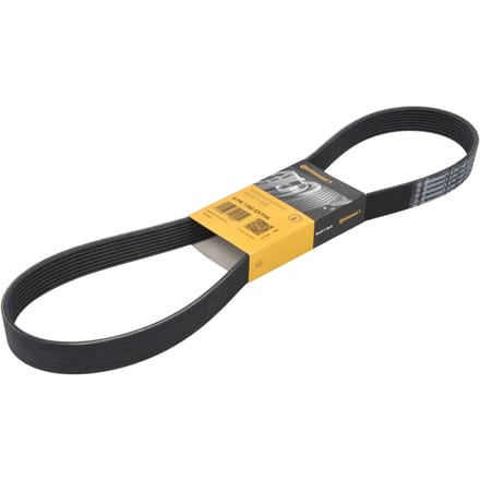 Continental Ctam V-riem CONTINENTAL 8PK1162 EXTRA