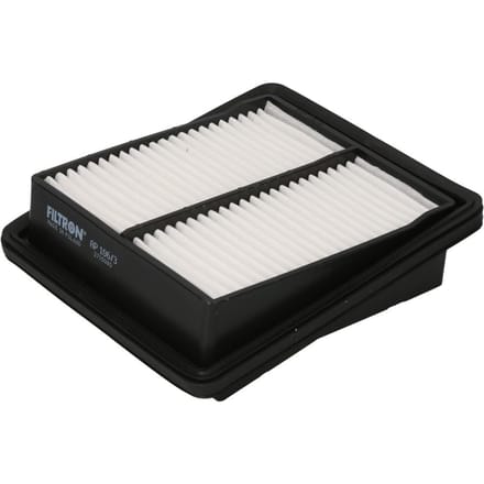 Luchtfilter FILTRON AP106/3