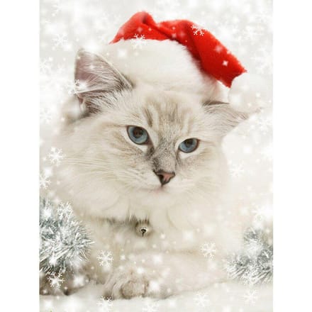 Peinture Diamant Point Complet Chat de Noël Broderie Diamant Point de Croix Mosaïque Strass Décor 20X30CM beige