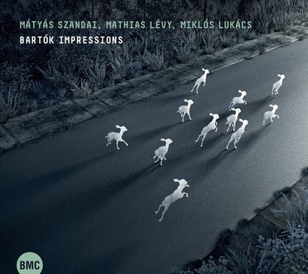 Mátyás Szandai, Mathias Lévy, Miklós Lukács - Bartók Impressions (CD)