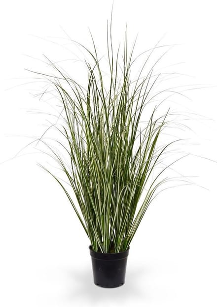 Kunst Rietgras plant 60cm - groen/creme