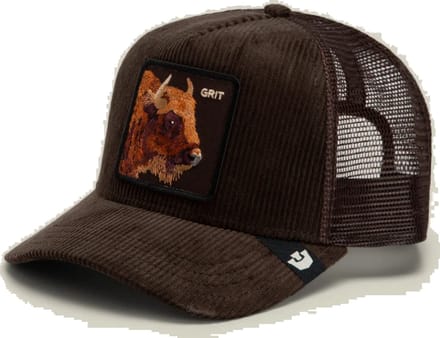 Goorin Bros. Corduroy Grit Trucker cap - Ground
