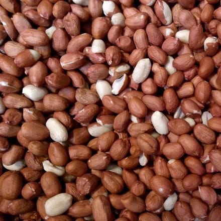 Buitenvogels- Vogelvoer- tuinvogels- eekhoorns- Gepelde pinda's- Pinda's - 2kilo