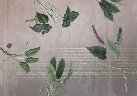 Fotobehang - Tropic Concrete 400x280cm - Vliesbehang