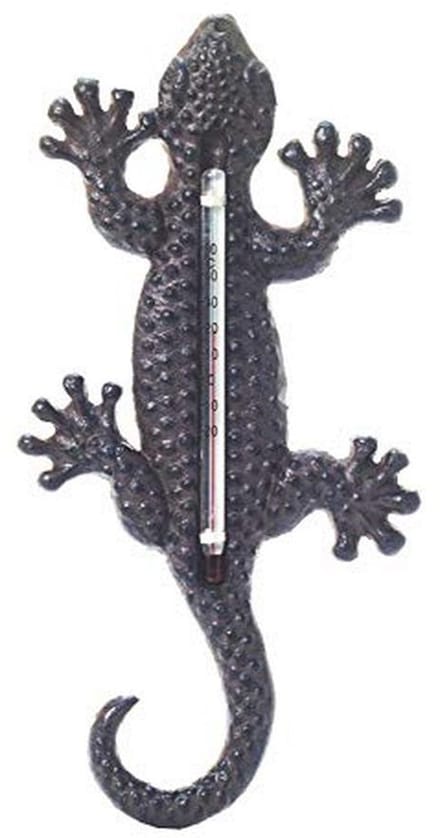 Hagedis thermometer voor binnen en buiten, 22 cm hoog