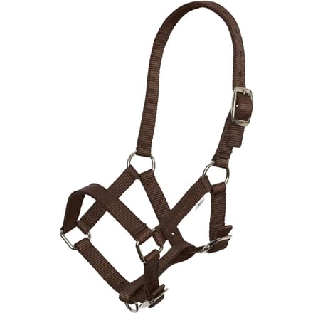 Imperial Riding - Veulenhalster - 3 Punten Verstelbaar - Walnut