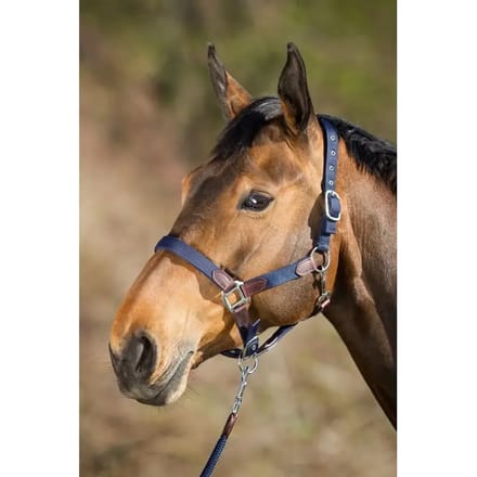 Halster met touw nylon HFI Neoprene Smart