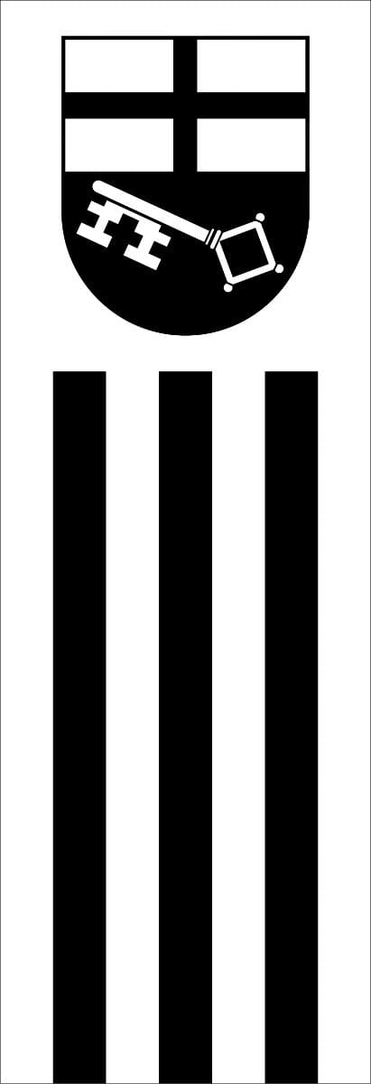 Vlag Brilon 100x150cm