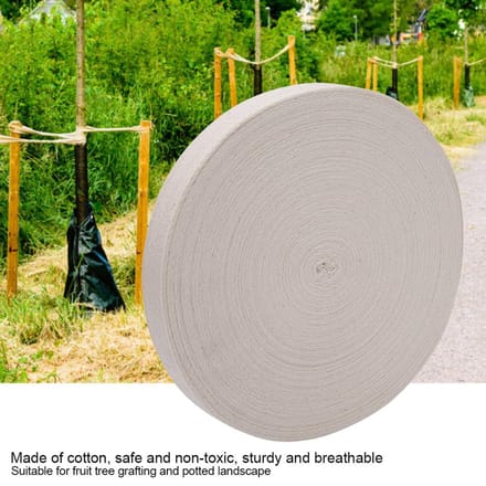 Bande de Protection d'Arbre en Coton Bandage Ceinture de Liaison Outil de Jardinage Bonsaï Greffage Type 1 green