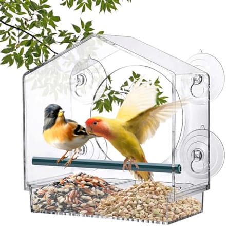 Vogelvoeder Ramen - Ideaal voor Wilde Vogels met Zuignappen