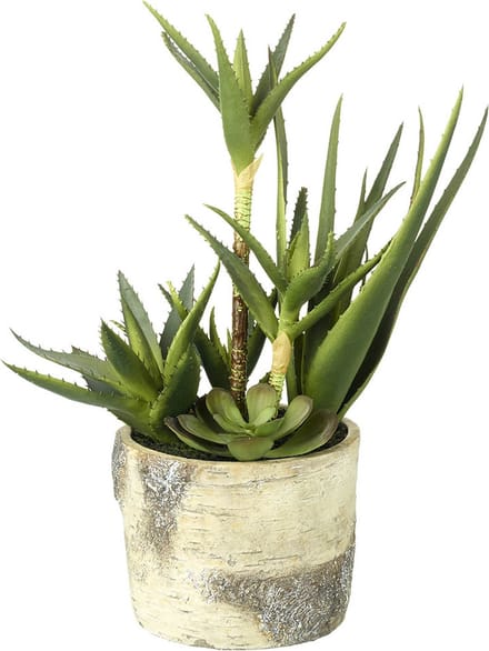 Parlane Kunst Succulent mix in sierpot - 19 x 19 x 43 cm