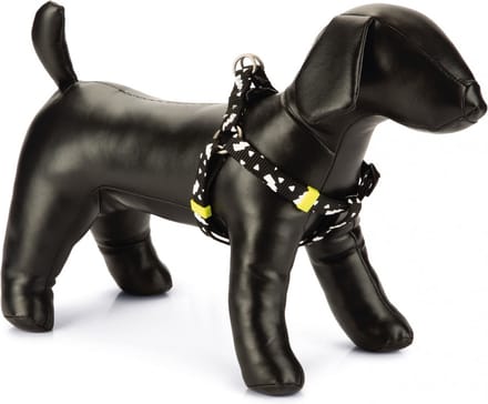 Beeztees Borsttuig Thunder Zwart 26-40cm x 1cm