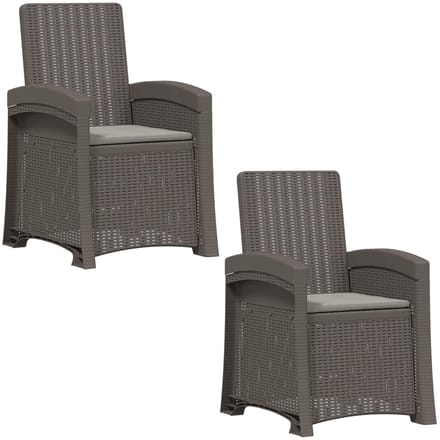 vidaXL - Ligstoel - Rieten - Look - 2 - st - Lichtgrijs - PP