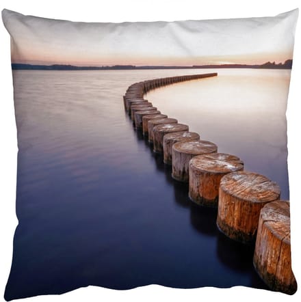 Sierkussens - Kussentjes Woonkamer - 60x60 cm - Hout - Palen - Water