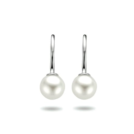 Huiscollectie Zilver oorbellen 1301783