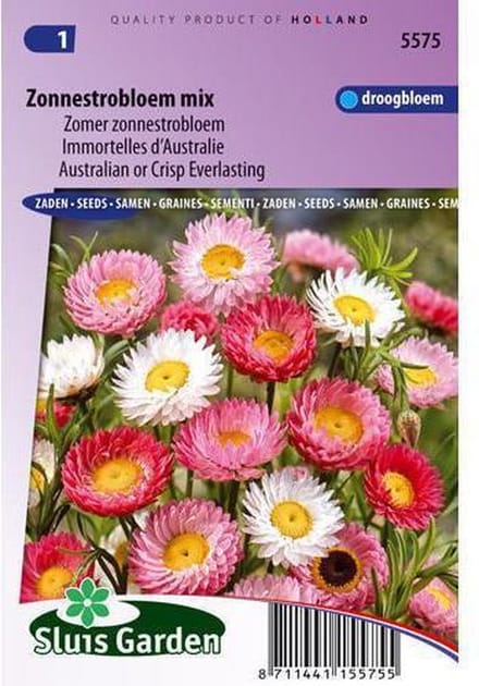 Sluis Garden - Zonnestrobloem gemengd (Helipterum/Acroclinium)