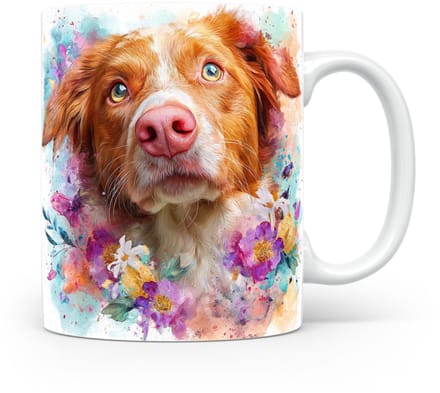 Beker Nova Scotia Duck Tolling Retriever