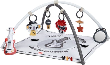 Tiny Love Rock With Me Gymini - Tiny Rockers - Vanaf de geboorte tot 4 jaar oud