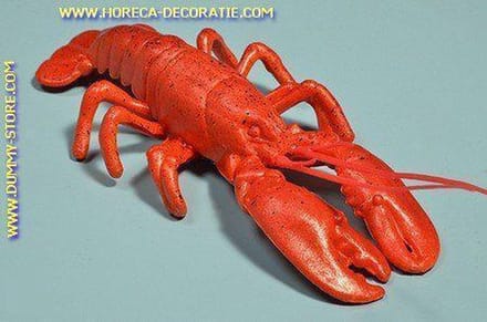 Kreeft, (K1) - 300x130 mm - Visdummy
