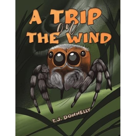 A Trip On The Wind - Donnelly, T.J.