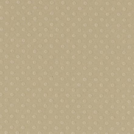Textuur vel Dotted rope swin - 30x30 cm - Bazzill - 25 Vellen