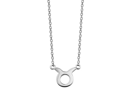 Stier Ketting Zilver Zodiac ZN005S
